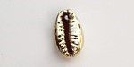 SDE15 Cowrie Caracol Chapado en Dorado Enlace 13 a 16mm. 10 piezas SDE15 Cowrie Caracol Chapado en Dorado Enlace 13 a 16mm. 10 piezas