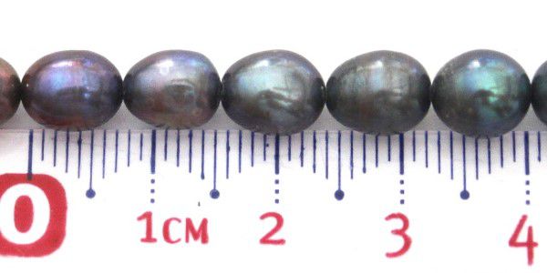 PCA8A10N Perla Cultivada, 8 a 11mm. Azul Prusia/negro